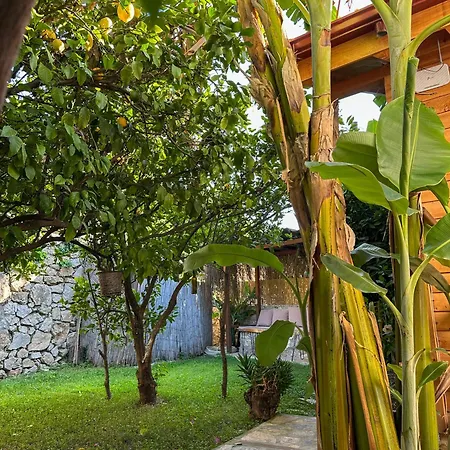 Faralya Misafir Evi *