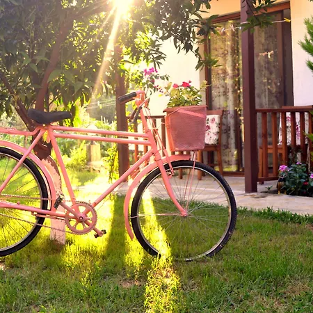 Séjour chez l'habitant Faralya Misafir Evi Faralya