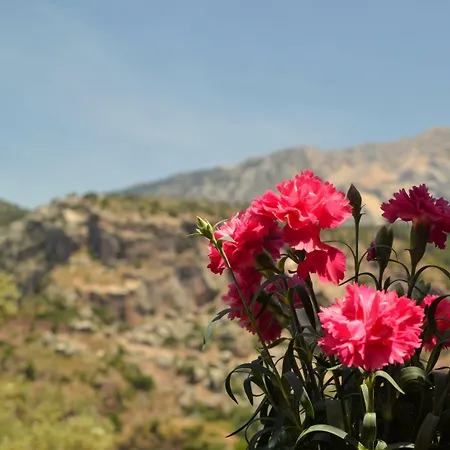 Faralya Misafir Evi * Faralya