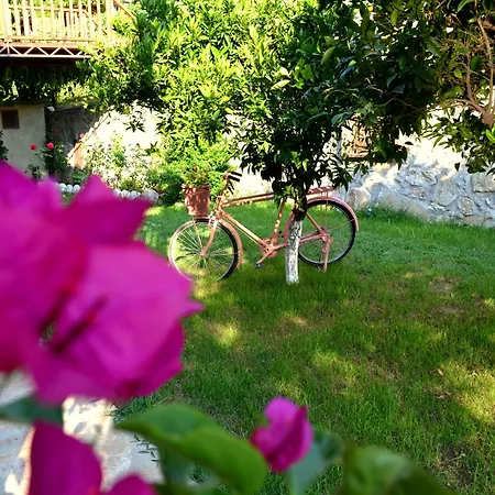 Faralya Misafir Evi * Faralya