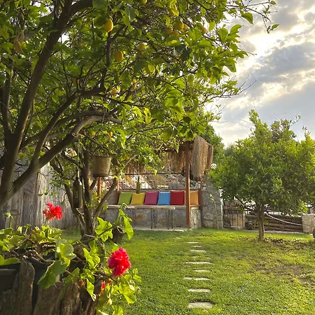 Faralya Misafir Evi Faralya