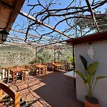 Misafir Evi * Faralya