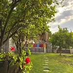 Misafir Evi Faralya