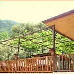 Misafir Evi Faralya
