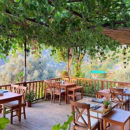 Pansiyon Misafir Evi *