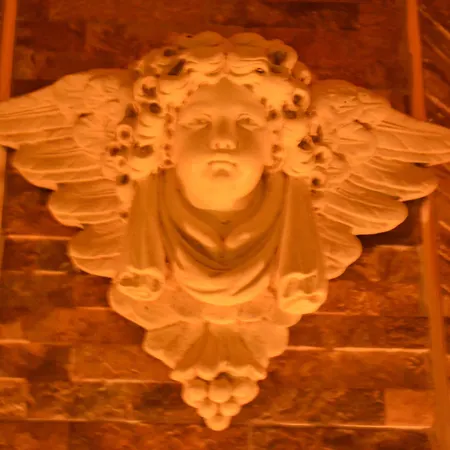 Pansiyon Misafir Evi