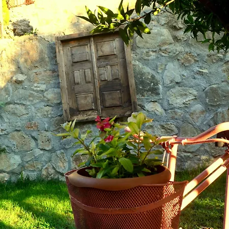 Pansiyon Misafir Evi *