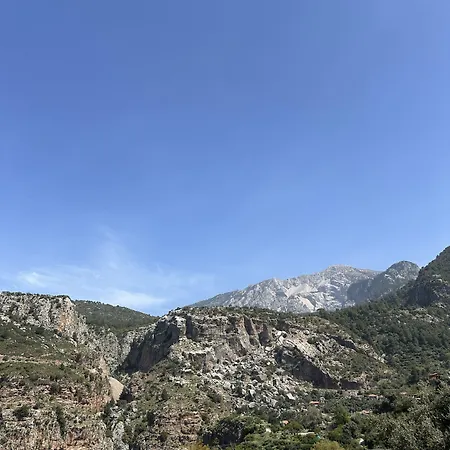 Pansiyon Misafir Evi Faralya