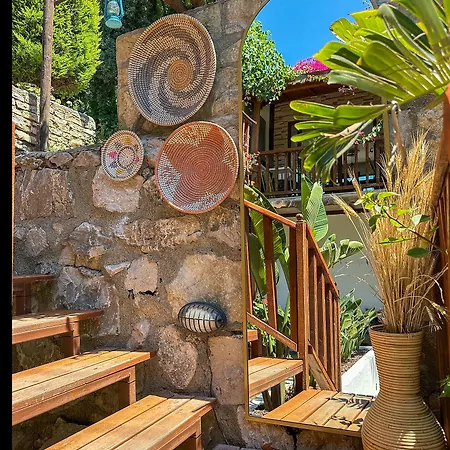 Gazde/Camere de închiriat Misafir Evi