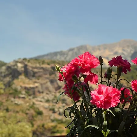 Pansiyon Misafir Evi Faralya